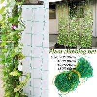 1Pc Garden ผัดใบเขียวพืชโครงไม้เลื้อยด้านหลังสนับสนุน Nets Bean พืชปีนเขา Grow รั้ว