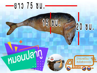 G2G หมอน ปลาทูทอด ความยาว 75 ซม.  กว้าง 20 ซม.