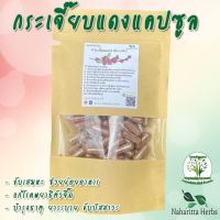 กระเจี๊ยบแดง ขนาด 50 / 100 แคป (1pcs : 500mg.) ผักสมุนไพรไทย พร้อมส่ง [Suan Phak Samunpai]