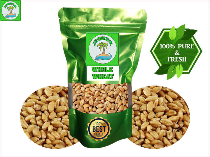 Whole Wheat Grass Seeds (1kg) Imported From India Lazada PH