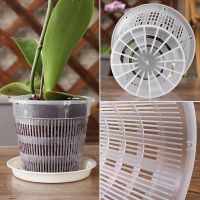 【CC】 5pcs Root-controlled Transparent Flowerpot for Orchid Cattleya Planting with Stomata Decoration Plastic