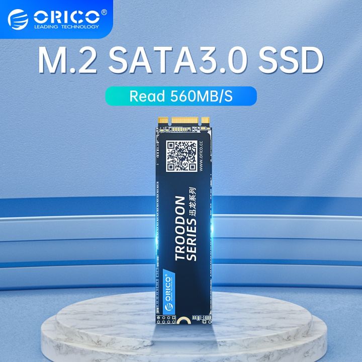SSD M.2 1 To - Série Troodon - Orico