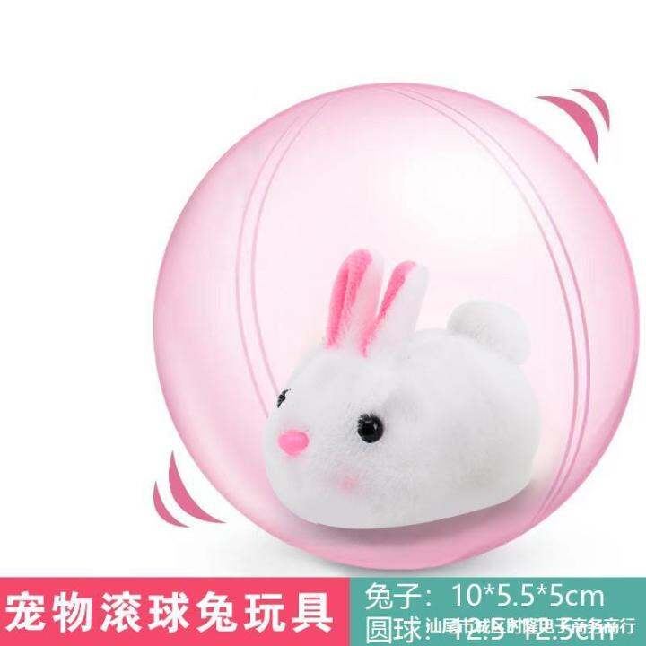 Rabbit best sale hamster ball