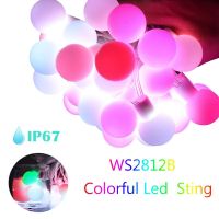 ZZOOI WS2812b LED Round Ball String Lights Addressable Individually Strip For  Holiday Outdoor Decor Christmas Party  Decoration DC5V