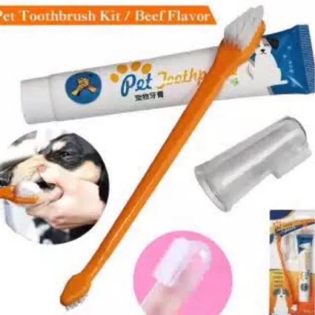 {K&C} Pet Toothpaste Kit (2 flavors) EDIBLE & SAFE Lazada PH