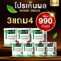 ส่งฟรี ! 3 แถม 4 ( 7 กระปุก) วีทกราส คลอโรฟิลล์ จาก แบรนยูมิโกะ Wheatgrass chlorophyll by yumiko