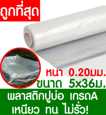 พลาสติกปูบ่อ 5x36เมตร สีใส หนา 0.20มิล ผ้ายางปูบ่อ ปูบ่อน้ำ ปูบ่อปลา สระน้ำ โรงเรือน พลาสติกโรงเรือน Greenhouse บ่อน้ำ สระน้ำ LDPE