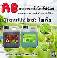 ธาตุอาหารสำหรับกินใบ ปุ๋ยไฮโดรโปนิกส์ ปุ๋ยAB ปุ๋ยน้ำ ปุ๋ยผักสลัด สำหรับปลูกผัก Hydroponics ขนาด1000ML