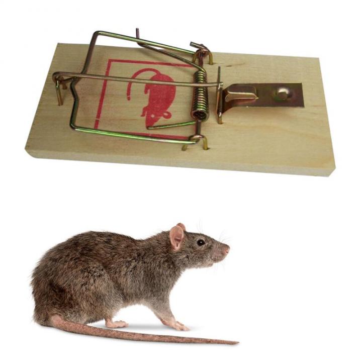 1-pcs-high-qulity-reusable-rat-catching-mice-mouse-traps-mousetrap-bait-snap-spring-rodent-catcher-pest-control-products