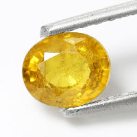 1.25 ct บุษราคัม (Yellow Sapphire)สีเหลือง ทรงไข่