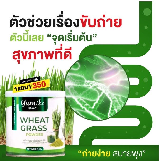 yumiko-wheat-grass-วีทกราส-คอลโรฟิลล์-ผลิตจากต้นอ่อนข้าวสาลี-ขนาด-50-g
