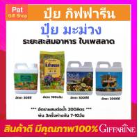 ปุ๋ย ปุ๋ยมะม่วง ระยะสะสมอาหาร ใบเพสลาด ปุ๋ยกิฟฟารีน โบโรแคล เกรทกรีน ท๊อปเค เทอโบไทโอแม็ก กิฟฟารีนของแท้ Giffarine