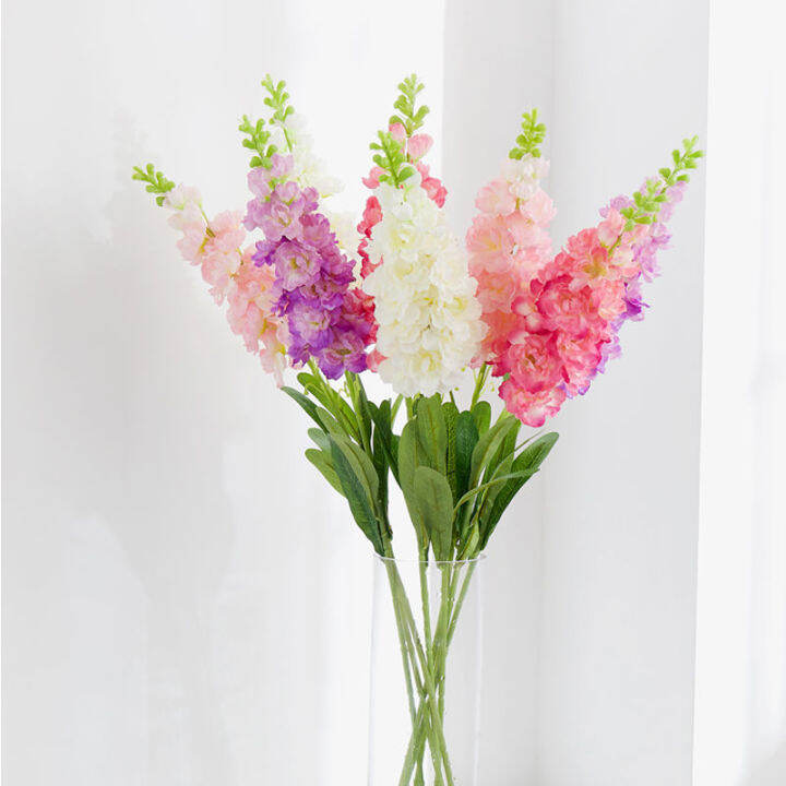 My Image 33