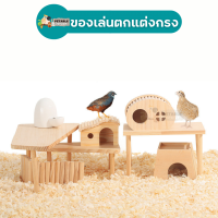 PetAble บ้านไม้และของเล่นแฮมสเตอร์ มีให้เลือกหลายรูปแบบ วัสดุเป็นไม้อย่างไดี ไม่เป็นอันตราย ใช้ตกแต่งกรงได้