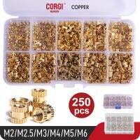 M2 M2.5 M3 M4 M5 M6 Brass Heat Insert Nut Kit Hot Melt Nutinsert Thread Knurled Double Twill Embedment Copper Nut Assortment Set Nails Screws Fastener