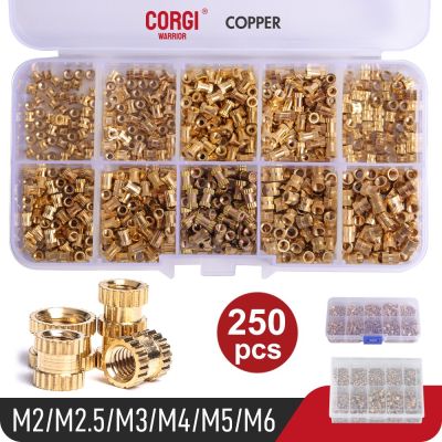 M2 M2.5 M3 M4 M5 M6 Brass Heat Insert Nut Kit Hot Melt Nutinsert Thread Knurled Double Twill Embedment Copper Nut Assortment Set Nails Screws Fastener