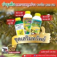 ชุดเสริมทรัพย์ บำรุงต้น บำรุงใบ ลดการหลุดร่วงดอกและผล เทอรา ซอร์บ ขนาด 1 ลิตร ควีแลนท์ ไมเนอร์ ขนาด 1 ลิตร ควีแลนท์ แคลเซียม ขนาด 1 ลิตร