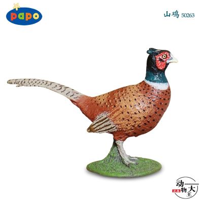 French PAPO 2020 new pheasant pheasant pheasant simulation plastic animal model toy ornament 50263