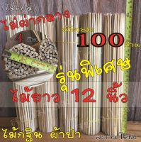 ไม้เสียบเงินกฐิน รุ่นพิเศษ ไม้ยาว 12 นิ้ว (มัดละ 100 ก้าน) ไม้เสียบธนบัตร ไม้เสียบเงิน ไม้เปล่า (*ไม่ผ่ากลาง)สำหรับตกแต่งต้นกฐิน และงาน D.I.Y.