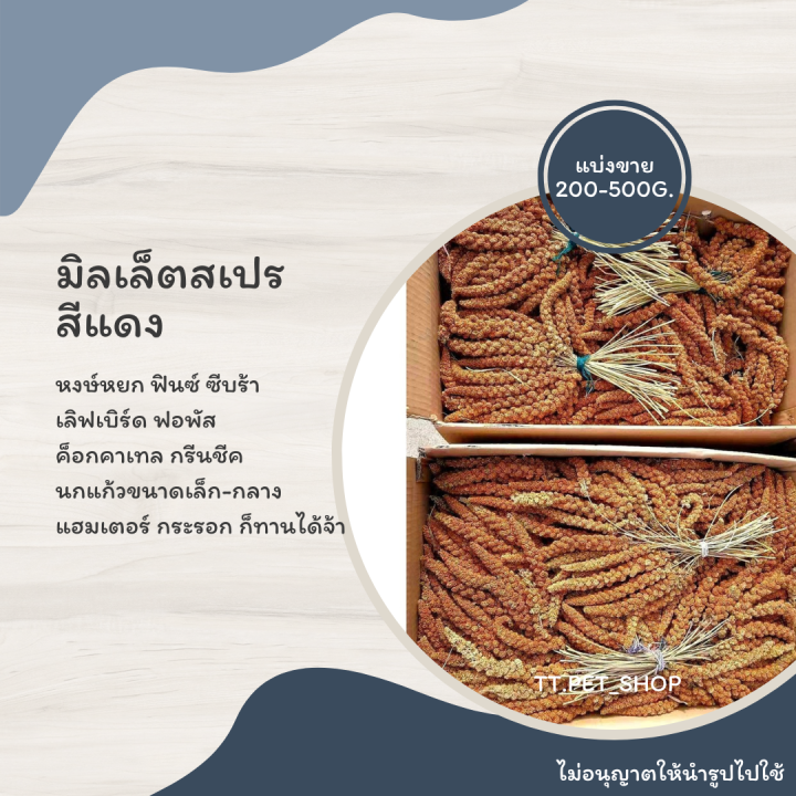 มิลเล็ตสเปร-สีแดง-เหลือง-แบ่งขาย-200-500-g-สำหรับนกแก้ว-และ-แฮมเตอร์