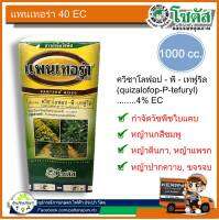 แพนเทอร่า 40 อีซี (Pantera 40 EC) ขนาด 1 ลิตร สารกำจัดวัชพืชชนิดดูดซึม ใช้ได้ดีกับวัชพืชใบแคบ เช่น หญ้านกสีชมพู หญ้าตีนกา หญ้าตีนติด  เป็นต้น