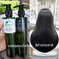 แชมพู ปิด ผมขาว ผมหงอก ผมร่วง ด้วยสมุนไพร ธรรมชาติ KIISS สีดำ 1เซท2 ขวด X250 กรัม ปิด ผมดำ ย้อมผม