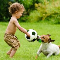 〖Love pets〗 Dog Football Interactive Big Soccer Pet Rope Ball Toy for Medium Large Mascotas Accessories Shepherd Toy Suministros De Perro