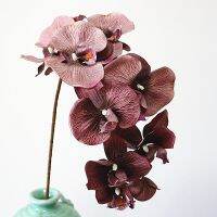 【cw】 10Heads big Artificial Orchid Flowers Europeanstyle MothOrchidsWeddingDecoration fake silk flores