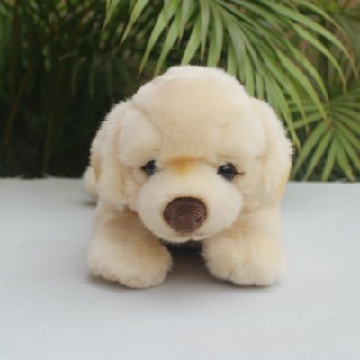 ร้อน28เซนติเมตรสีขาวลาบราดอร์รีทรีฟสูงความจงรักภักดีน่ารัก Plushie แกะสุนัขของเล่นตุ๊กตาเหมือนจริงสัตว์จำลองยัดตุ๊กตาของเล่นของขวัญ