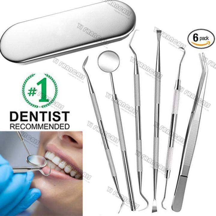 6 Piece Set Dental Pick Oral Care Kit, Stainless Steel Dental Hygiene