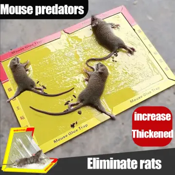 4 Rat Trap Snare Mouse Glue Traps Mice Rodent Super Sticky Boards