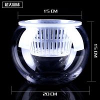 [COD] self-absorbing water plant glass bottle hydroponic white palm ball planting basket flower lazy utensils