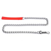 Anti-bite Metal Dog Leash for Small and Medium Dogs Heavy and Duty Chrome Plating Iron Chain for Training Dogs Pet Walking Leash