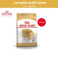 Royal Canin Jack Russel Adult 7.5kg อาหารเม็ดสุนัขโต พันธุ์แจ็ค รัสเซลล์ อายุ 10 เดือนขึ้นไป (Dry Dog Food, โรยัล คานิน)