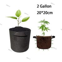 2 Gallon Home Garden Tree Pots Plant Grow Bags Garden Planting Bags Jardin Growing Bag Fruit Vegetables Planter Bags 6TH