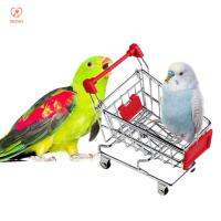 DFSID Funny Small Conures Office Intelligence Growth Training Parrot Toy Mini Shopping Cart Metal Trolley For Bird Pet