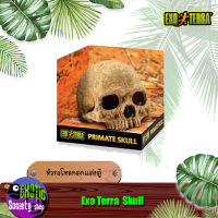 ที่ซ่อนตัวรูปกะโหลก Exo Terra  Skull