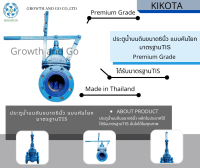 ประตูน้ำบนดินขนาด6นิ้ว แบบก้านโยก มาตรฐานTIS Made in Thailand  Premium Grade