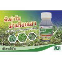 ไซทรอน (ไตรโคเพอร์ฯ) (triclopyr butoxyethyl ester 66.8% EC) 250 cc กำจัดใบกว้างทุกชนิดในอ้อย ข้าว กำจัดตอไม้