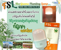 FSL แสงคูลย์ไวท์ LED Light หลอด LED FSL ปลูกพืชสมุนไพร