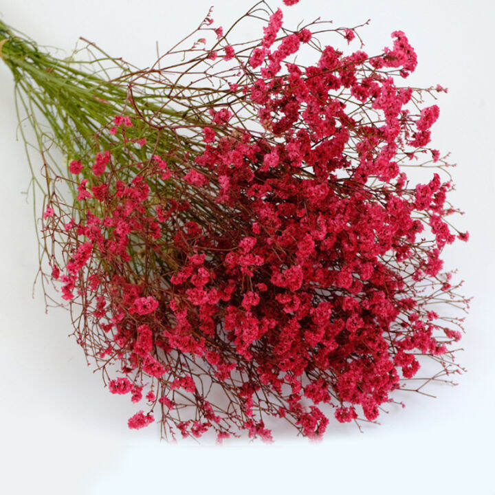 cw-crystal-grass-preserved-flower-bouquet-natural-dried-red-rose-pink-dry-flower-home-wedding-office-modern-house-decoration