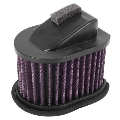 Motorcycle Air Cleaner Intake Filter For Kawasaki Z750 2004-2012 Z800 2013-2015 Z1000 2003-2009 Motorcycle Accessories