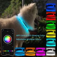 YJ438 ขายร้อน - / ไฟ Led ปลอกคอสุนัขแอพพ์บลูทูธหลากสี RGB ไฟปลอกคอสุนัขปลอกคอสุนัขกันน้ำแบบชาร์จ USB สำหรับปลอดภัยยามค่ำคืน