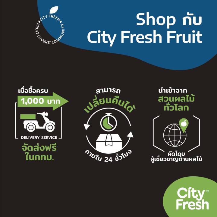 cityfresh-craft-smoothies-blue-ocean-สมูทตี้