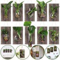 Wooden Wall Hanging Glass Planter with 50 pcs Glow in the Dark Plastic Pebbles Wall-Mounted Vase for Water Plants Home Decor