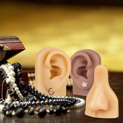 แบบจำลองหูจำลอง แบบจำลองการจำลองหูมนุษย์ แบบจำลองสมจริง อุปกรณ์การเก็บหู การสอนการถ่ายภาพ คอลเลกชันที่เป็นประโยชน์