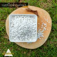 เพอร์ไลท์ ขนาด1ลิตร (Perlite)​ ราคาถูกพร้อมส่ง