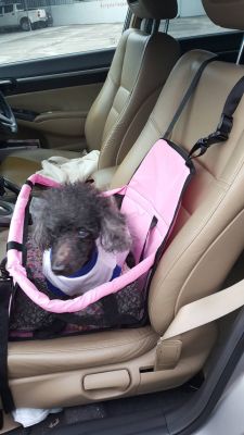 กระเป๋าที่นั่งสัตว์เลี้ยงใส่เบาะในรถยนต์ สีชมพู