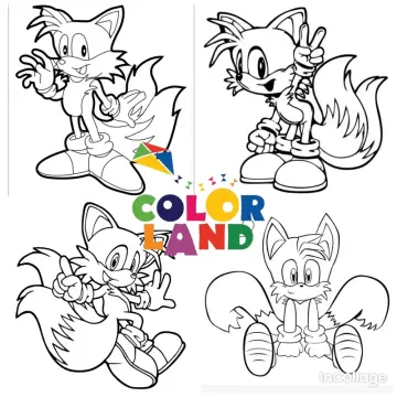 âm các con nhím và tô màu  sonic drawing and coloring  Sonic the landak  menggambar dan mewarnai  YouTube