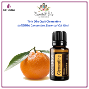 Tinh dầu cam rừng Quýt Clementine lai giữa quýt và lá liễu